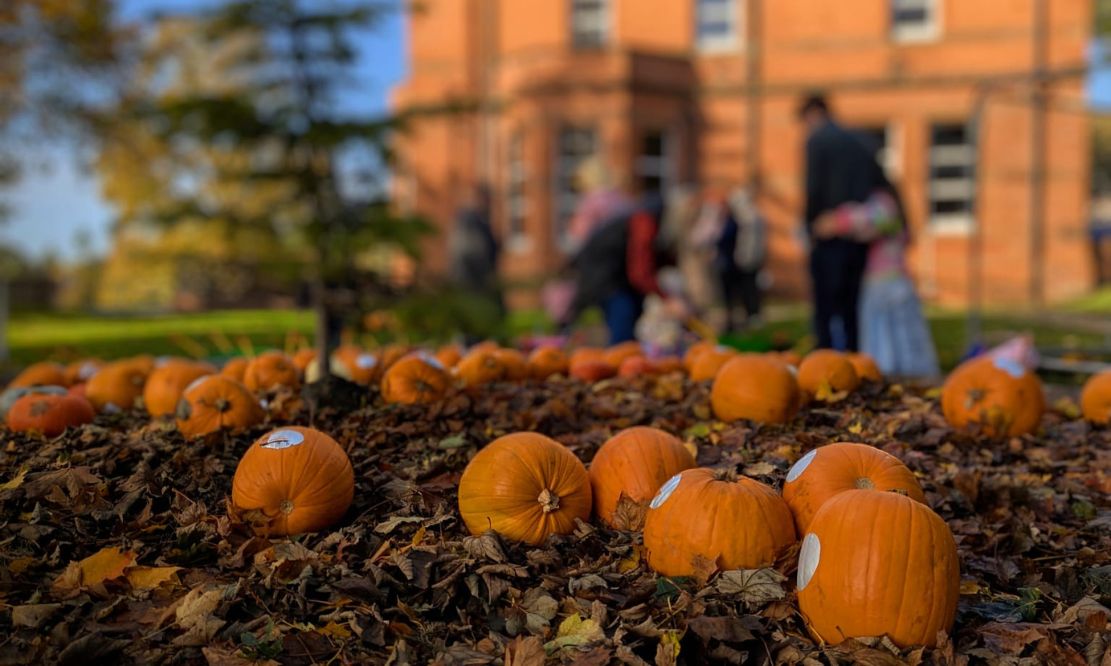 Benburb Priory Pumpkin Patch
